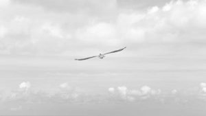 探索全面的chat人工智能免费入口