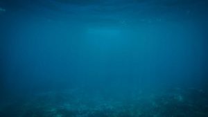 Chat人工智能免费入口：在线使用方法大全