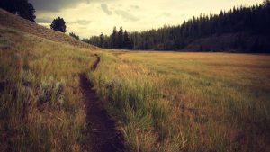 优选免费chat人工智能入口推荐