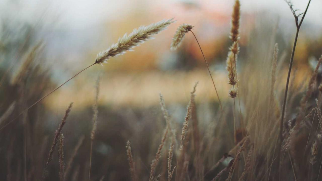 未来人工智能发展趋势与挑战:技术前沿与社会影响 未来人工智能发展趋势与挑战:技术前沿与社会影响