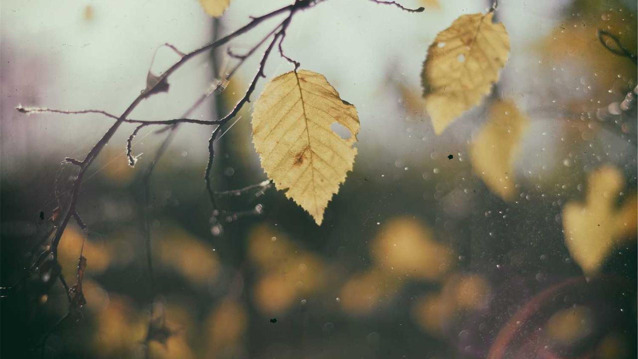 Chat 人工智能免费入口:全面介绍及推荐 Chat 人工智能免费入口:全面介绍及推荐