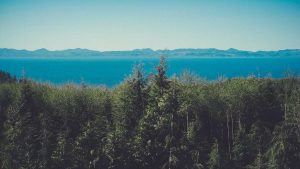 **人工智能论文查重率探析**