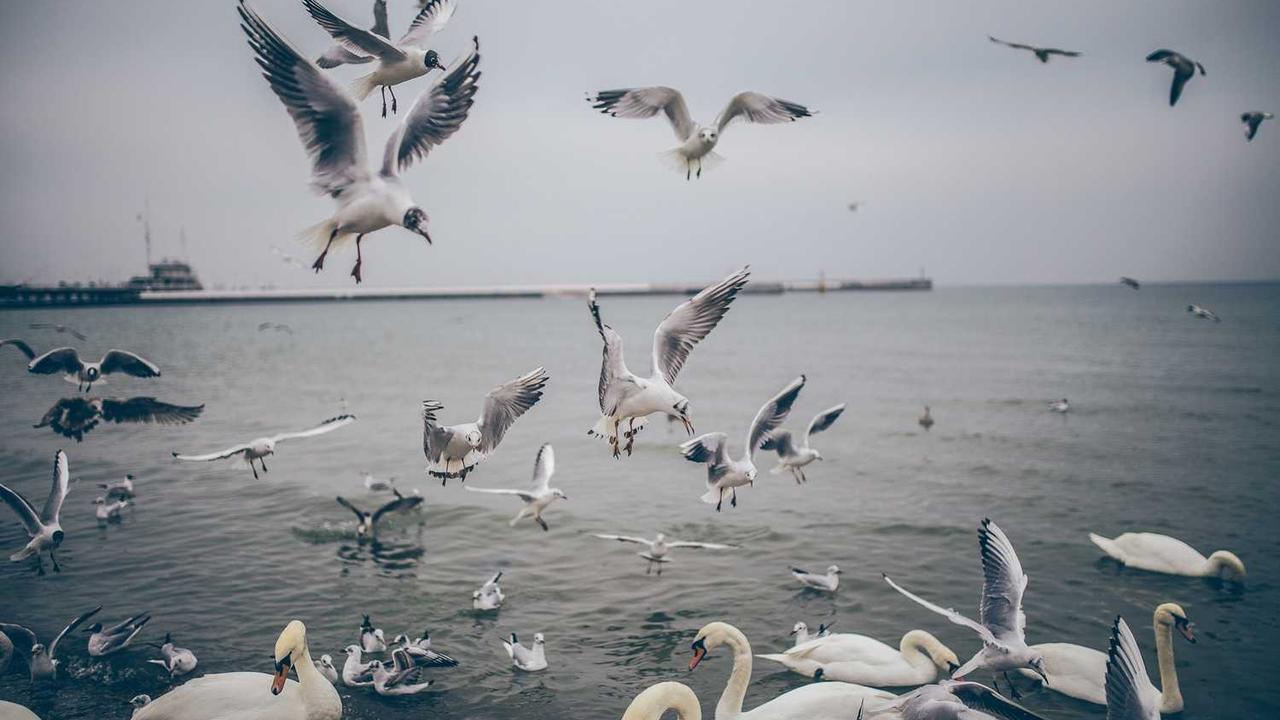 Chat 人工智能免费入口大全:在线交流全方位指南 Chat 人工智能免费入口大全:在线交流全方位指南