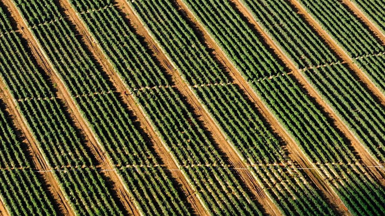 探索免费 chat 人工智能入口大全 探索免费 chat 人工智能入口大全