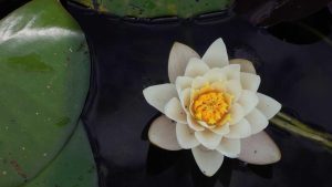 “Chat人工智能免费入口大全与推荐汇总”