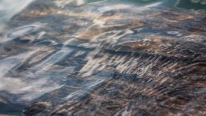 “chat3.5免费版登录入口：全面介绍与汇总”