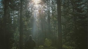 “全面介绍和推荐免费中文chat人工智能入口”