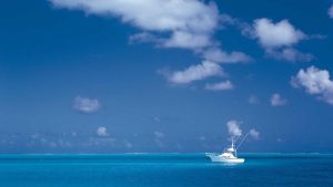 “探索Chat人工智能免费入口：在线互动体验指南”