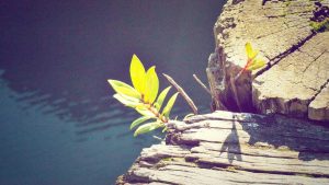 “发现新境界：免费Chat人工智能网页版”