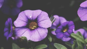 “畅享AI未来：chat人工智能免费入口全汇总”