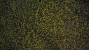 “Chat人工智能：免费入口全攻略与推荐”