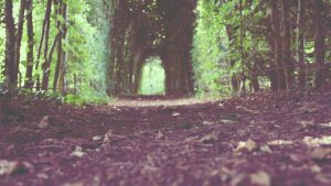 在给定的限制下，标题可以为：”chat3.5免费版登录入口指南及使用建议”。