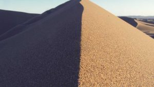 “人工智能的现状与未来发展”