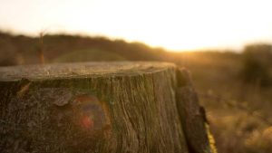 “Chat人工智能免费入口指南：推荐及操作详解”