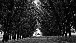 “畅享互动智能体验：chat人工智能免费入口详解”。