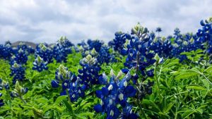 探寻chat3.5免费版登录入口攻略