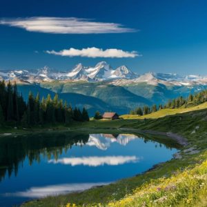 The Future of Technology: How Xiaomi Phones, Smart Rings, and Smart Glasses are Shaping a Connected World