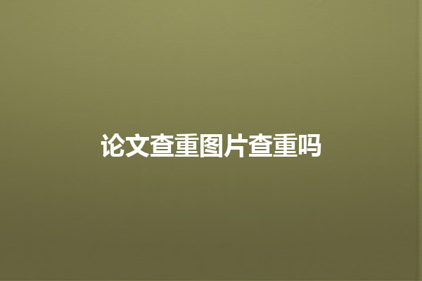 论文查重图片查重吗 论文查重图片查重吗