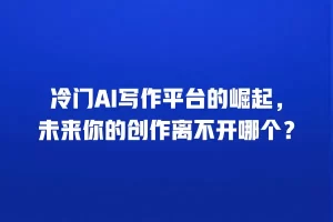 冷门AI写作平台的崛起，未来你的创作离不开哪个？
