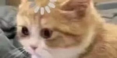 年薪高达200万，Claude团队新部门招募AI精神病研究人才！